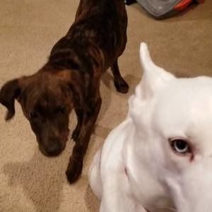 Meet your Posher, Judy